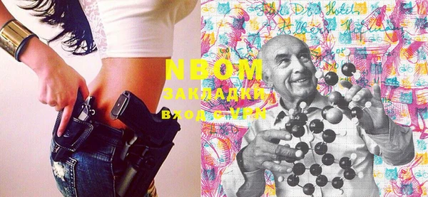 индика Армянск