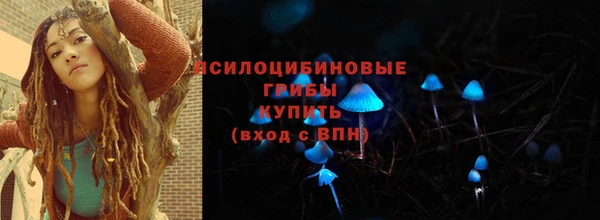 мяу мяу мука Осташков